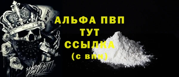 соль ск Тавда