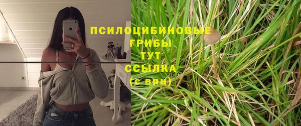 MESCALINE Тайга
