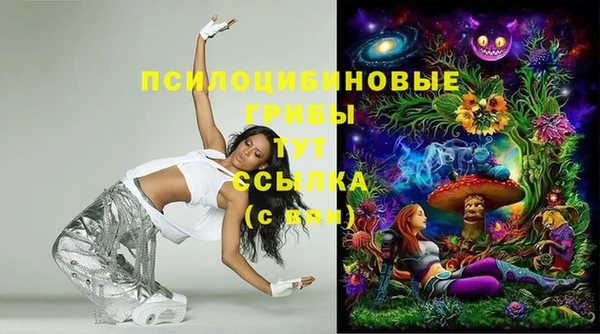 MESCALINE Тайга