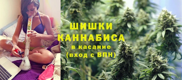 MESCALINE Тайга
