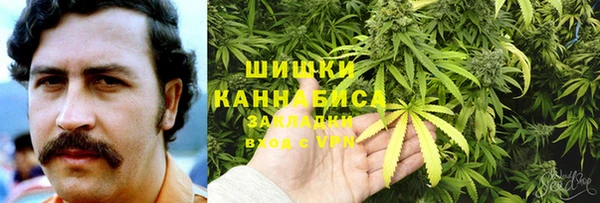 соль ск Тавда