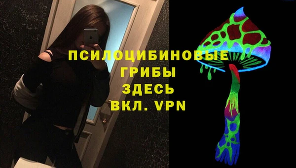 гидропоника Сясьстрой
