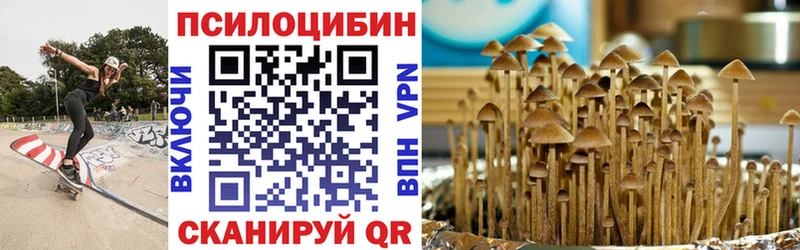 Псилоцибиновые грибы прущие грибы  hydra tor  Дыгулыбгей 